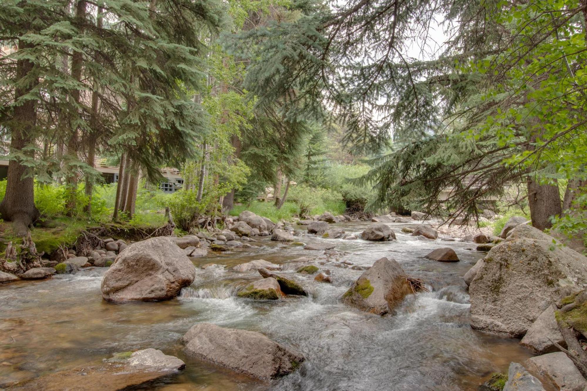 Timber Falls #809 Вейл Номер фото